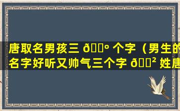 唐取名男孩三 🌺 个字（男生的名字好听又帅气三个字 🌲 姓唐）